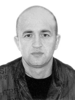 ZDRAVKO Vukov KRSTOVIĆ