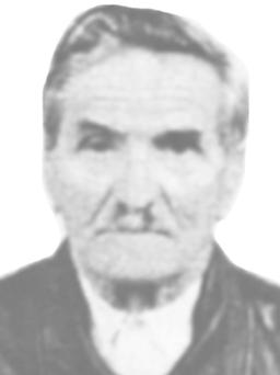 LJULJAŠ Nike GOJČAJ