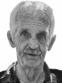 MILUN Milutina NIŠAVIĆ