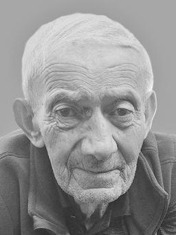 BOŽIDAR – MIKO Novaka ŠĆEPANOVIĆ
