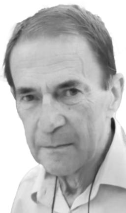 VESELIN Milojice BRAJKOVIĆ