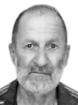 ristovic radenko