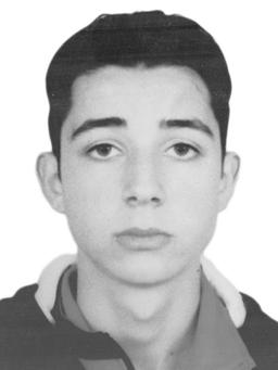 vlastko radulovic