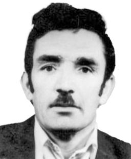 SLOBODAN Mitra MITROVIĆ
               1941 – 2025.