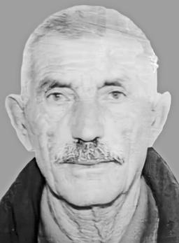 VLADETA Milentija JOVANOVIĆ

VLADETA Milentija JOVANOVIĆ