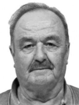 VLADIMIR Rada GAJEVIĆ