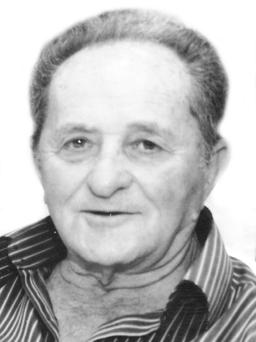 DRAGOLJUB MEDENICA