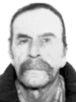 DRAGOLJUB Milanov ČOLOVIĆ