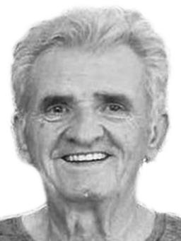 DRAGAN Nikolin RADUNOVIĆ