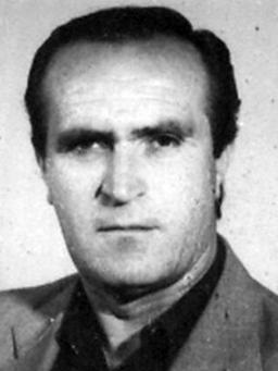 radovic tomislav