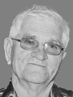 RADOSLAV V. IZGAREVIĆ