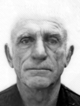 krstovic veselin