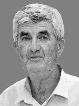 ivanovic rade