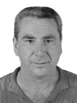 dulovic darko
