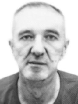 vujkovic milomir