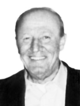 vukcevic rajko