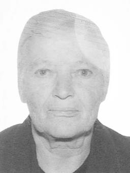 PLANA DRAGNIĆ