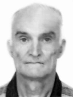 POPOVIĆ ZORAN