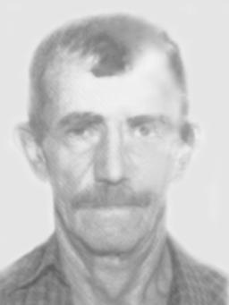 VELJKO Dušana RADONJIĆ