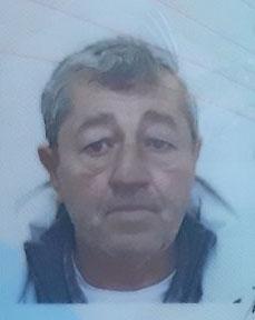 calic milorad