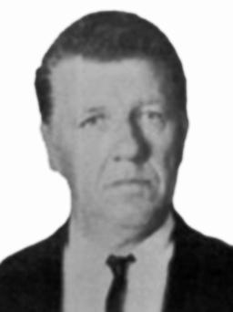 NIKO Radoja POPOVIĆ