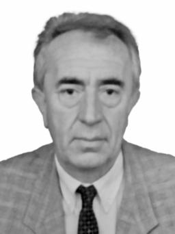 BUDIMIR A. ŠLJIVANČANIN
