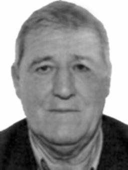 NOVAK M. ČOLIĆ