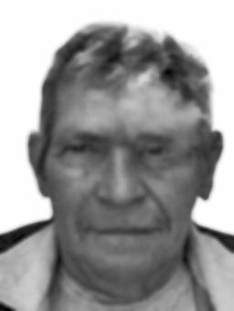 STEVANU POPOVIĆU