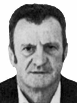 ZEF Doka DEDIVANAJ