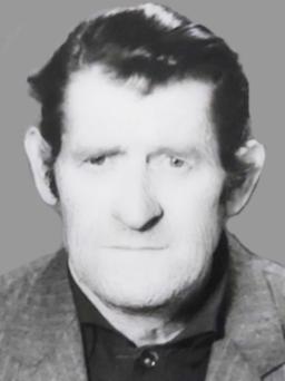 NIKOLE -PIPA ALIGRUDIĆA