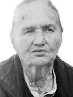 ZLATIJI