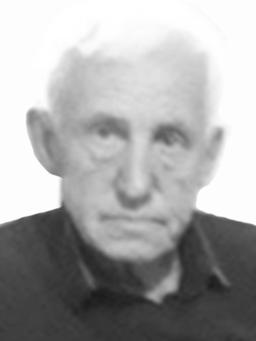 VALDIMIR Manojlov PEJOVIĆ