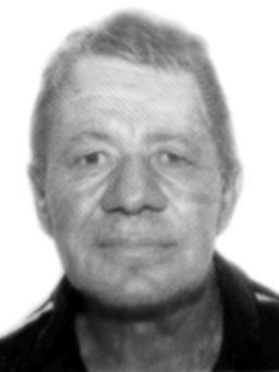 DUŠKO BRKOVIĆ