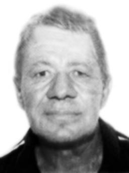 DUŠKO BRKOVIĆ