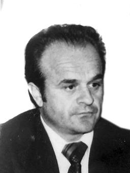 MILISAVA ŠEBEKA
