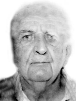 NIKOLA Milisavov MIHAILOVIĆ