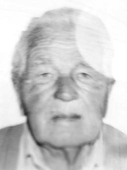 VUKSAN Jovanov RADOJIČIĆ