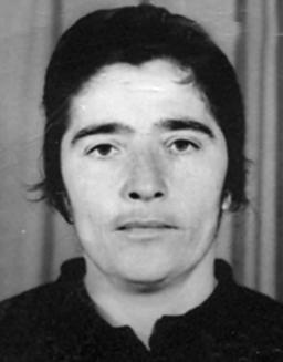 calija cvijeta