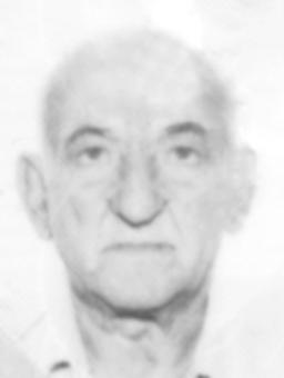 samardzic velimir