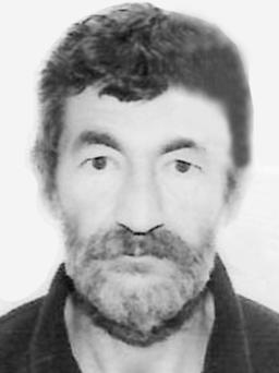 bulatovic radomir