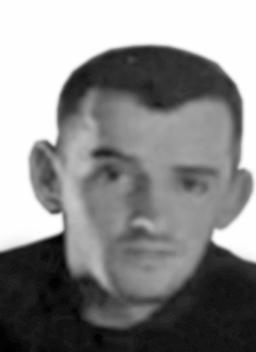 radovic zeljko