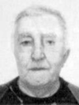 vukcevic milos