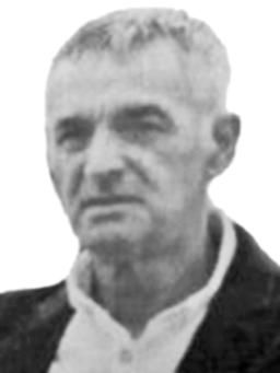 banovic zarko