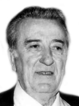 dzudovic milosav