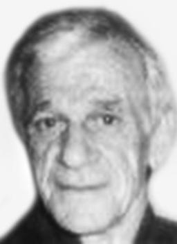DRAGAN Lukin MRĐENOVIĆ