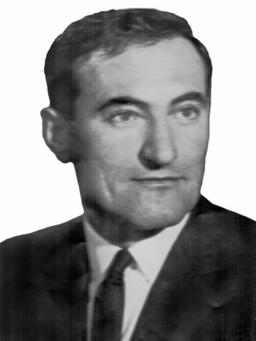 ILIJA J. PERKOVIĆ