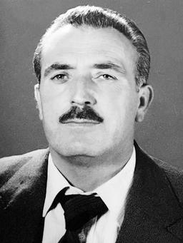 BORIVOJE Vladov BOŽOVIĆ