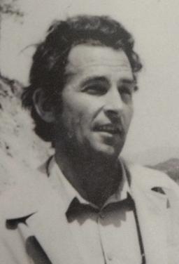 PETRA Milosavovog BLEČIĆA