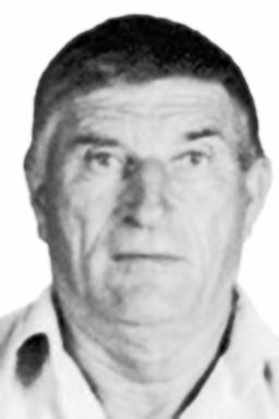 VUKAJLO BABIĆ