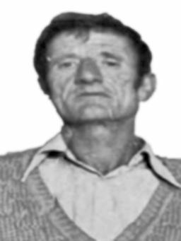 NOVAKA Radovog BARANIN